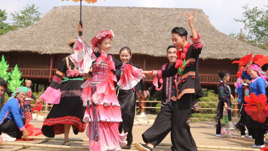 Sa Pa rose festival attracts thousands of visitors on opening day